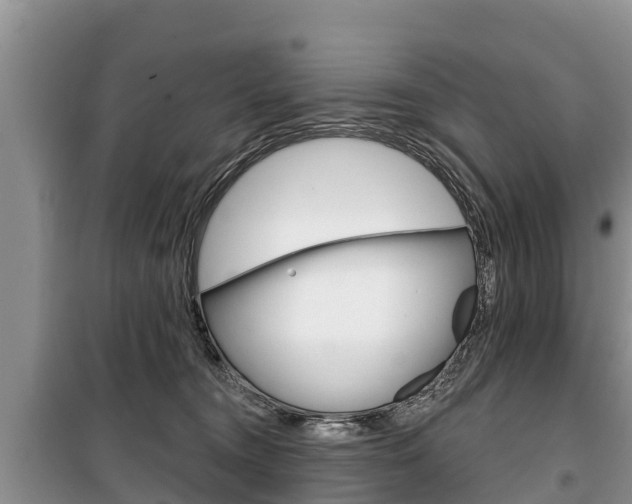 X0000100470372200806130800