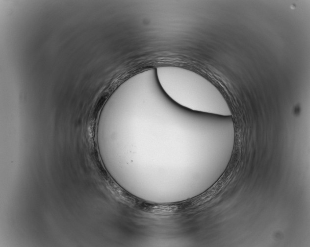 X0000100470373200806130800