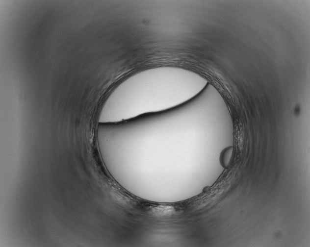 X0000100470374200806130800