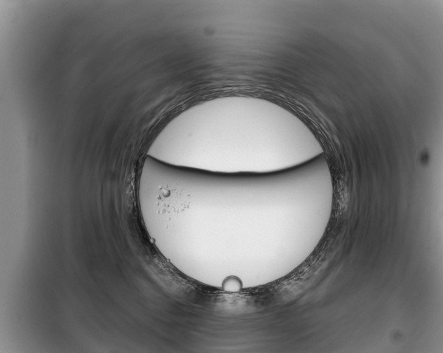 X0000100470376200806130800