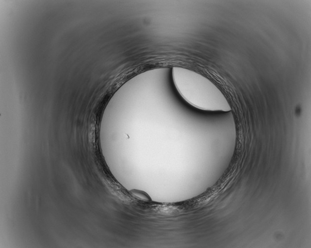 X0000100470379200806130800