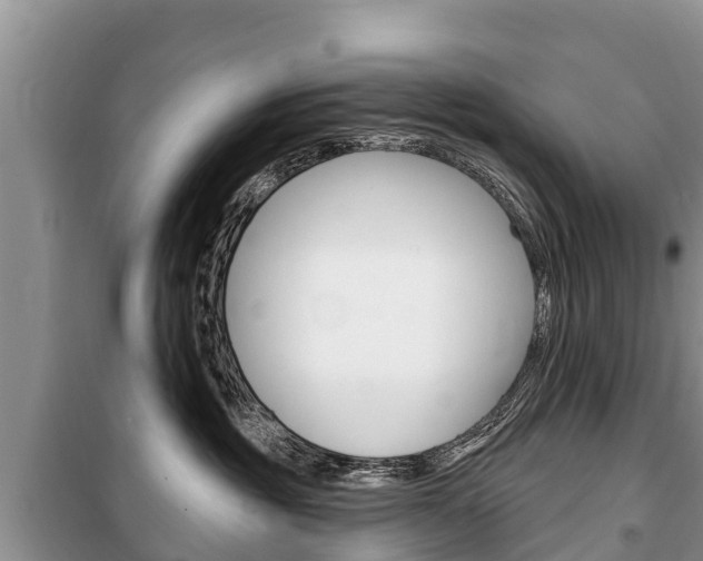 X0000100470381200806130800