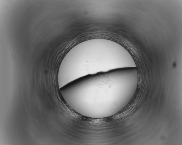X0000100470382200806130800