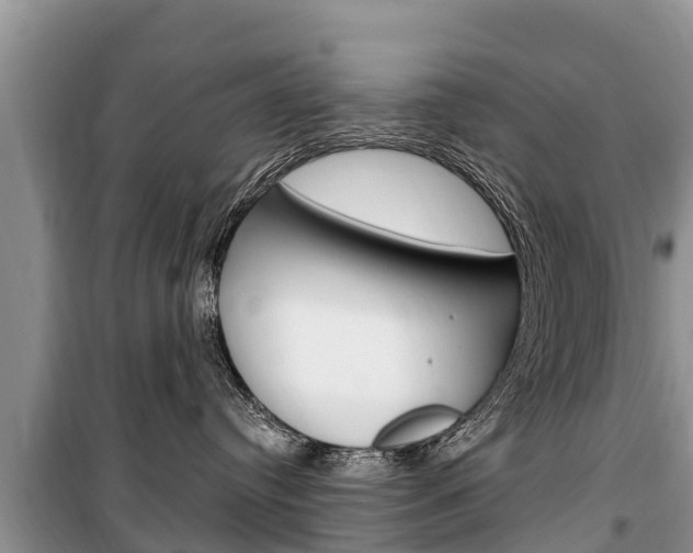 X0000100470384200806130800