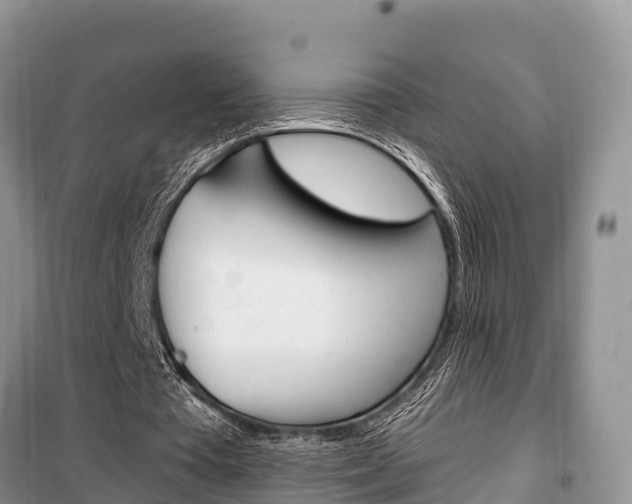 X0000100470385200806130759