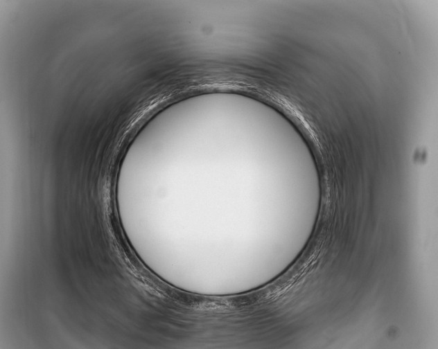 X0000100470386200806130759
