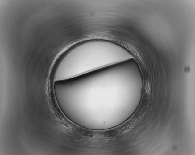 X0000100470388200806130759
