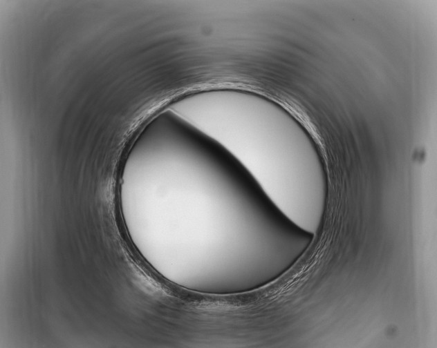 X0000100470389200806130759