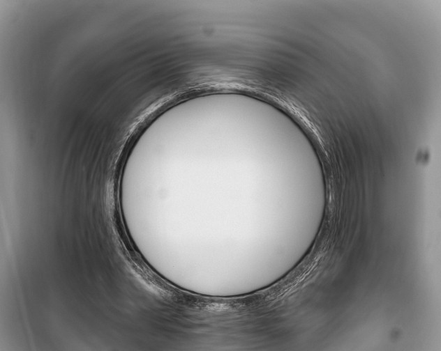 X0000100470390200806130759