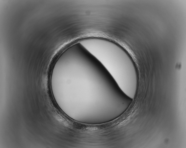 X0000100470391200806130759