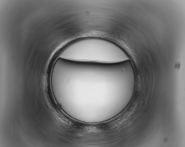 X0000100470392200806130759