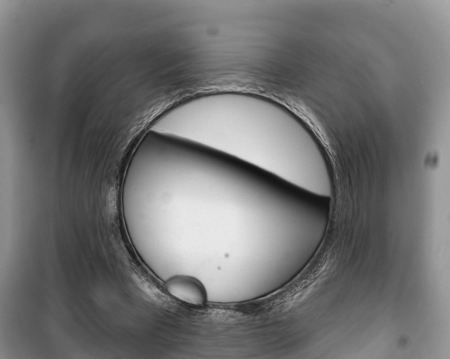 X0000100470393200806130759