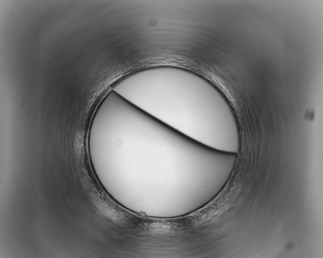 X0000100470394200806130759