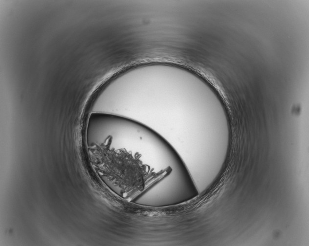 X0000100470395200806130759