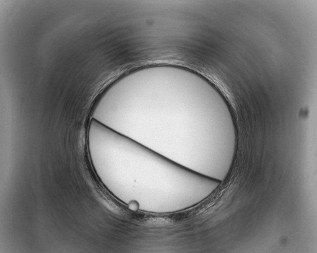 X0000100470397200806130759