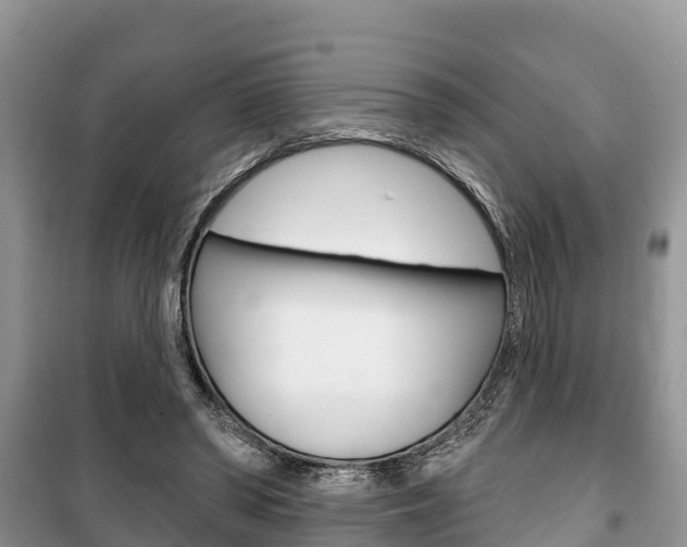 X0000100470398200806130759