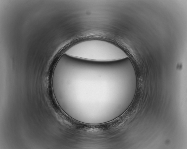 X0000100470400200806130759