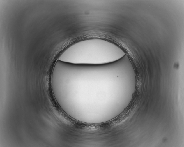 X0000100470402200806130759