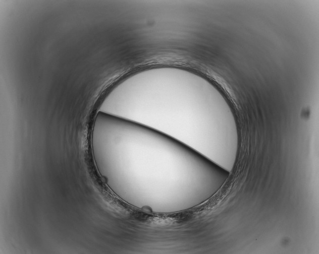 X0000100470403200806130759