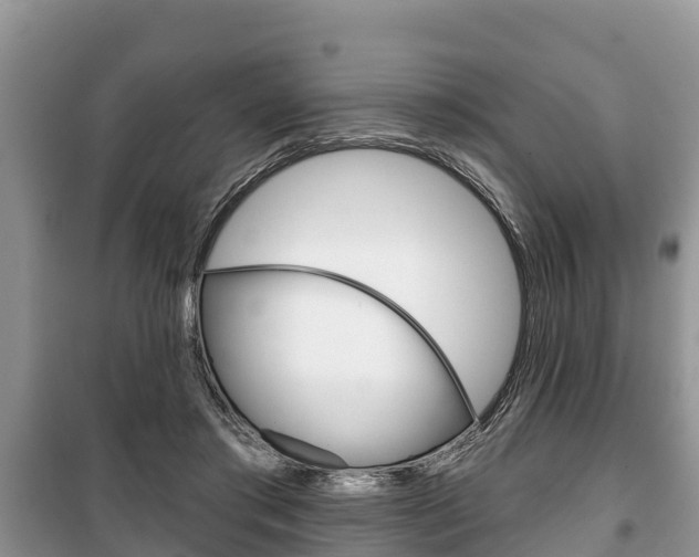 X0000100470405200806130759