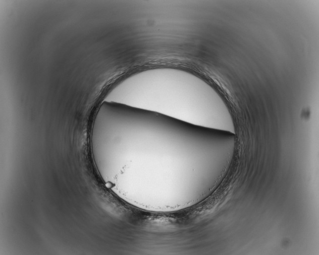 X0000100470407200806130759