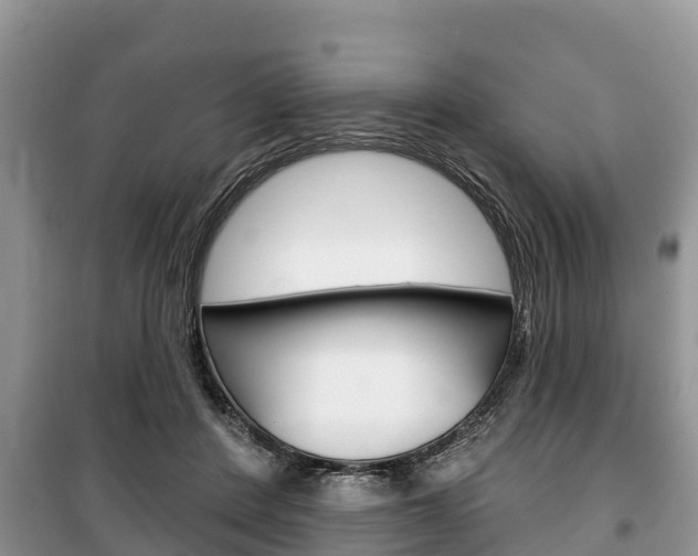 X0000100470408200806130759
