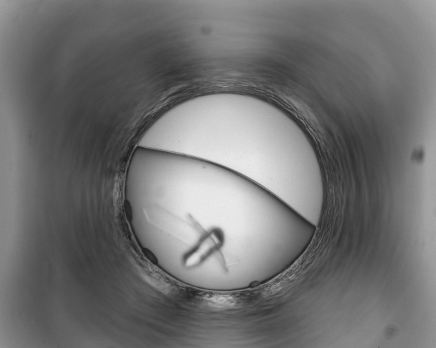 X0000100470409200806130759