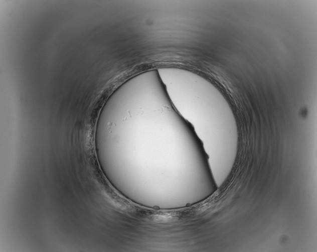 X0000100470411200806130759