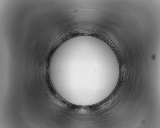 X0000100470412200806130759