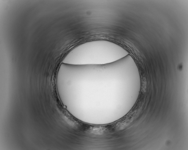 X0000100470414200806130759