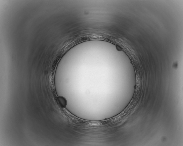 X0000100470415200806130759