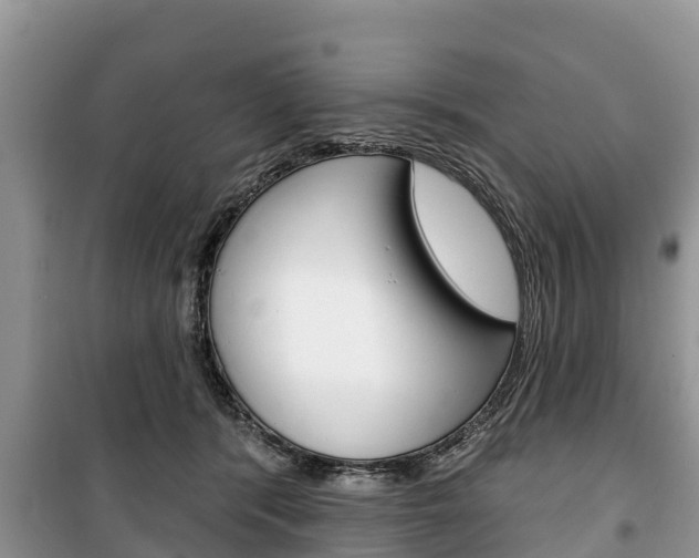 X0000100470416200806130759