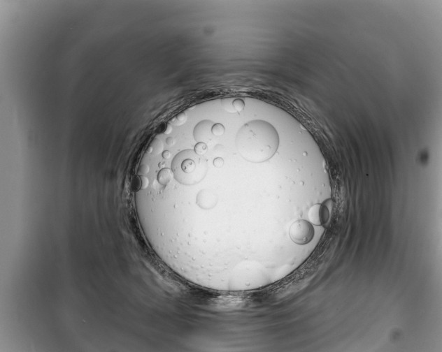 X0000100470418200806130759