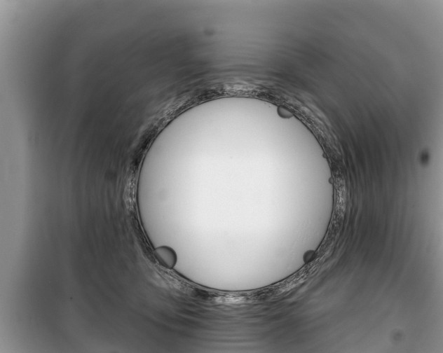 X0000100470419200806130759
