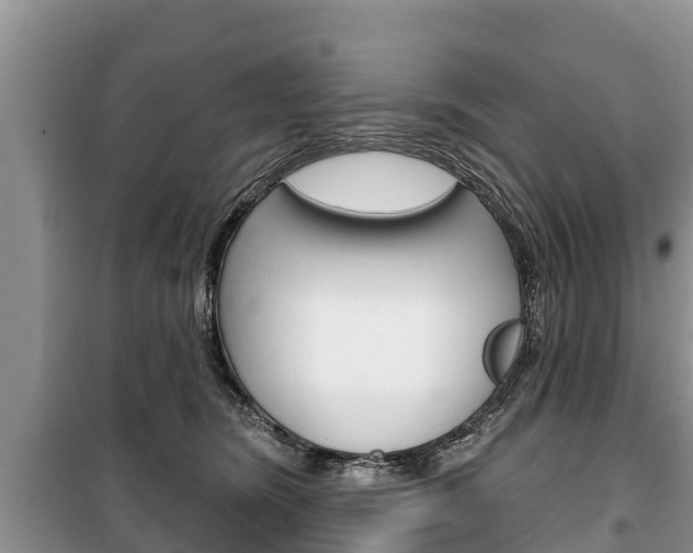 X0000100470420200806130759