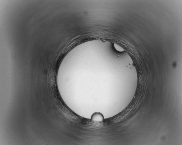 X0000100470421200806130759