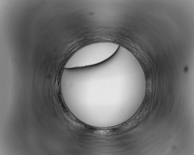 X0000100470422200806130759