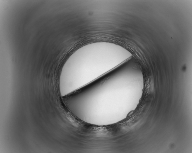 X0000100470424200806130759