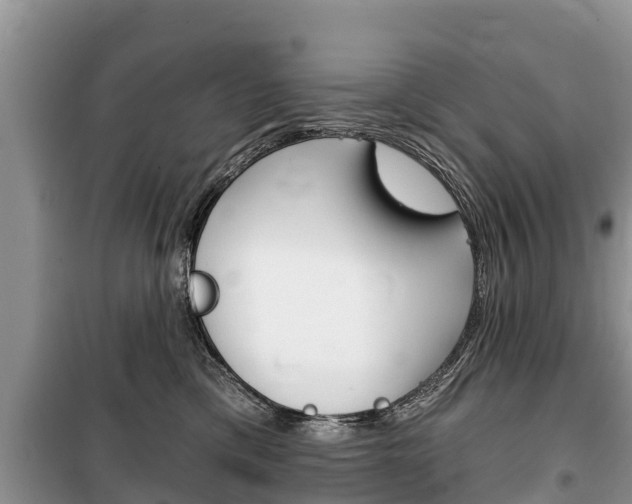 X0000100470425200806130759