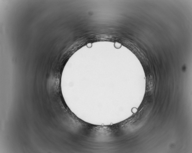 X0000100470427200806130759