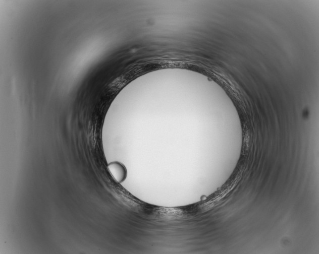 X0000100470429200806130759