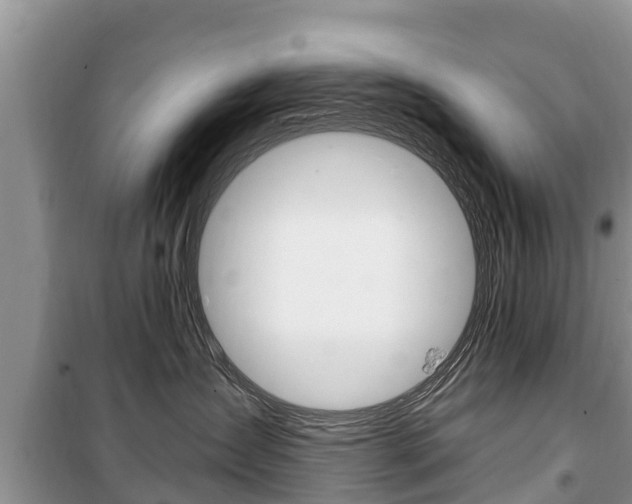 X0000100470431200806130759