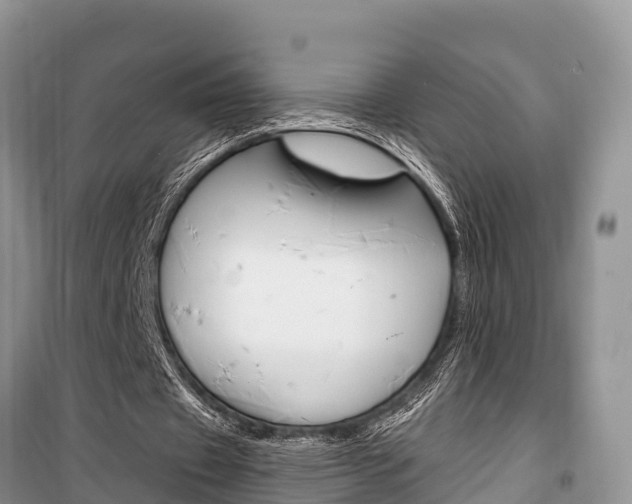X0000100470433200806130758