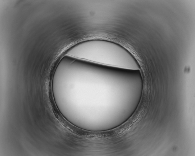 X0000100470434200806130758