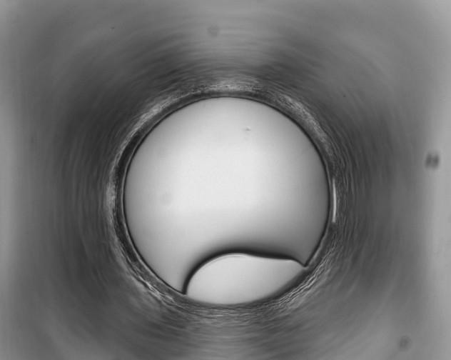 X0000100470435200806130758