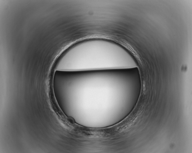 X0000100470436200806130758