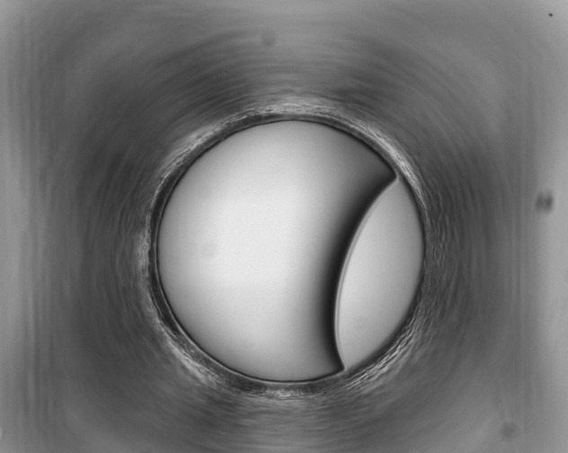 X0000100470437200806130758