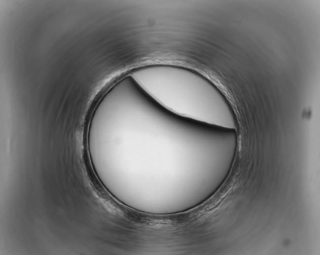 X0000100470438200806130758