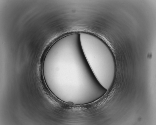 X0000100470439200806130758
