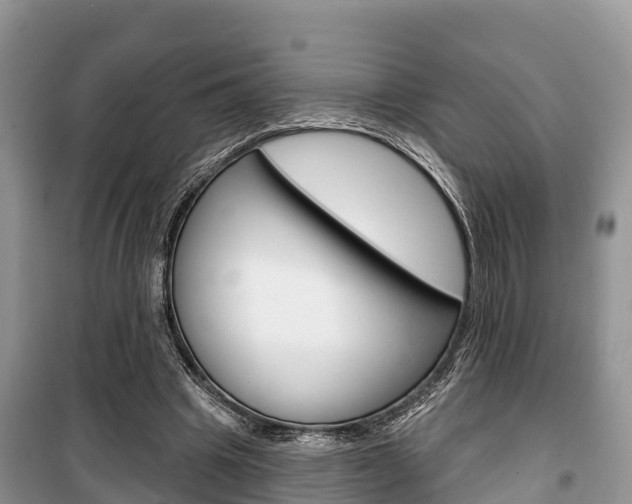 X0000100470441200806130758